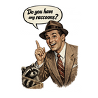 Do you have any raccoons?