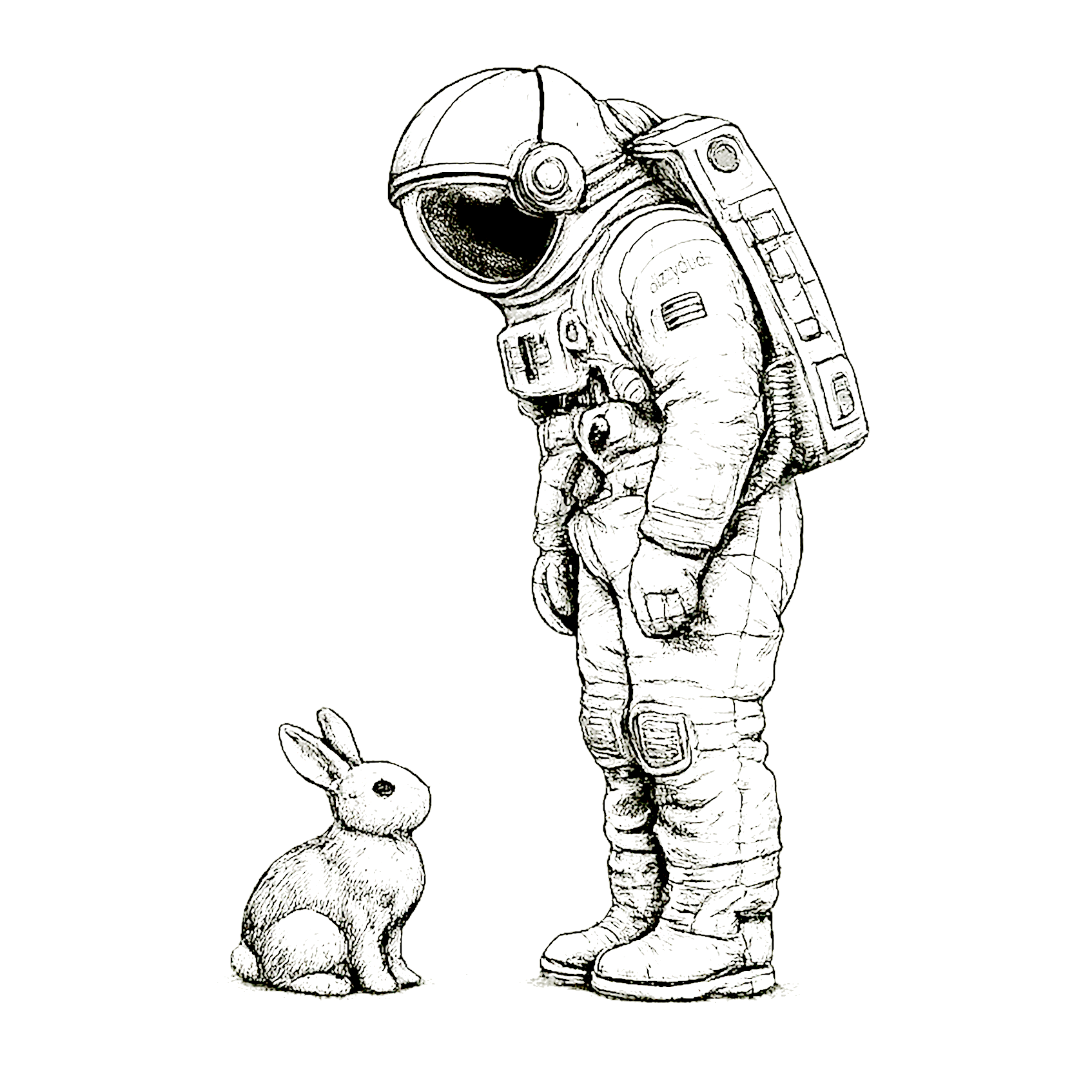 Moon Rabbit