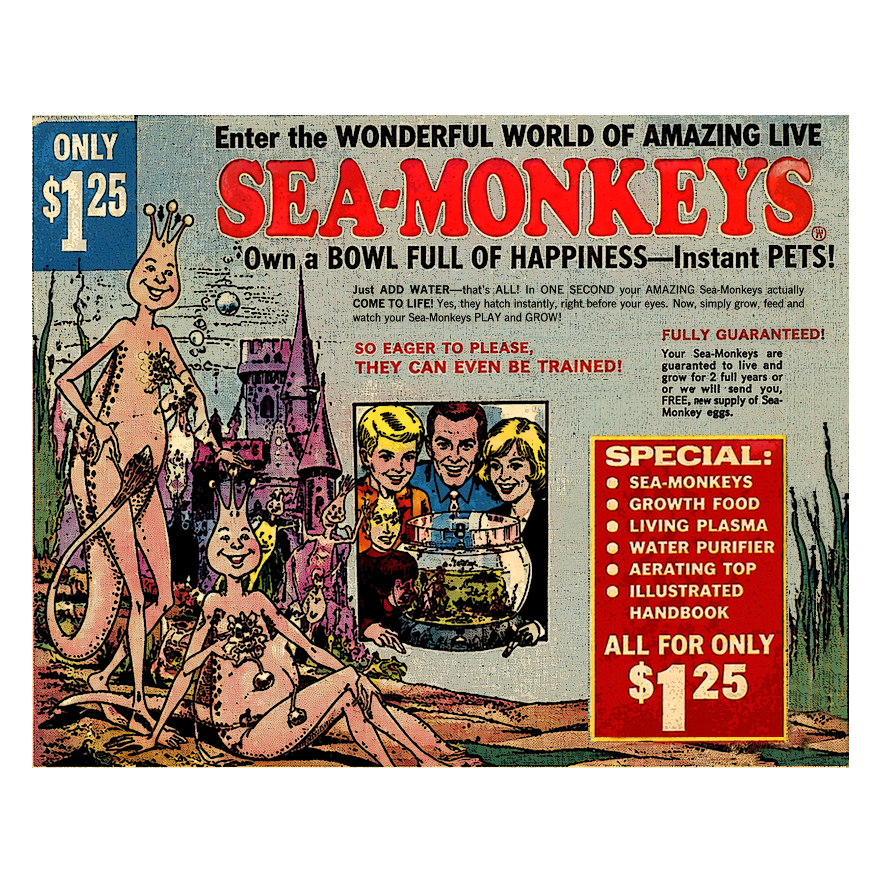 Sea Monkeys